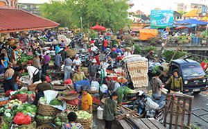 Bali Information